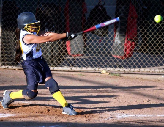Softball Sports Netting Softball Barrier Nets; Outdoor #21 Medium-Impact and #42 High-Impact Netting; For Home, Recreational Parks, Softball Parks, Schools.